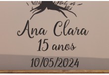 Niver 15 Anos Ana Clara