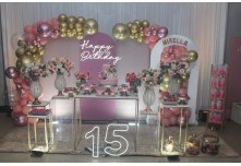 Niver 15 Anos Mirella