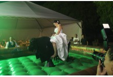 Casamento Andressa e Eduardo